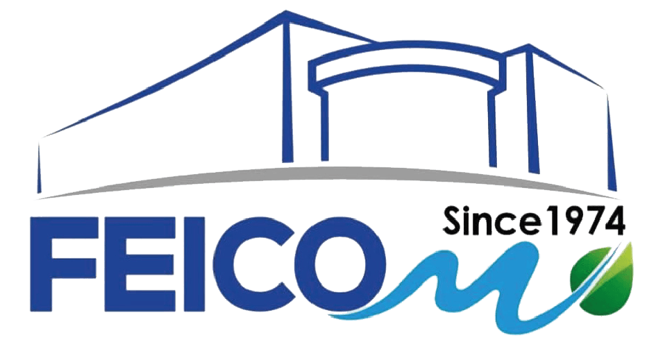feicom-1